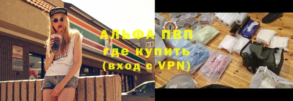индика Алексин