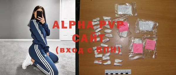 индика Алексин