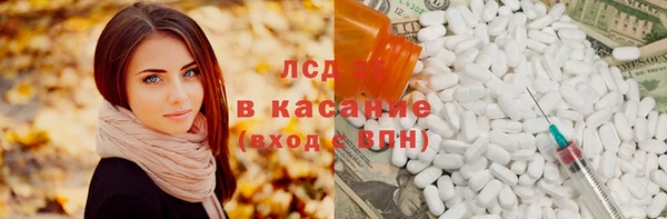 индика Алексин
