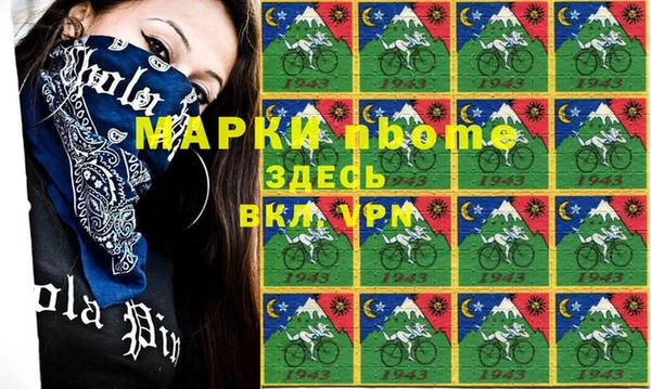 индика Алексин