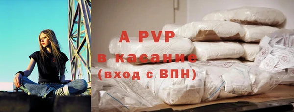 индика Алексин