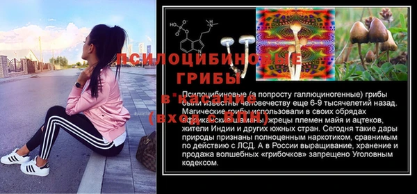 гашик Алзамай