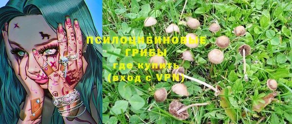 гашик Алзамай