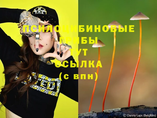 гашик Алзамай