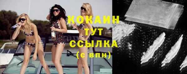 индика Алексин