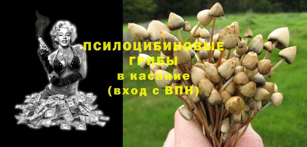 гашик Алзамай