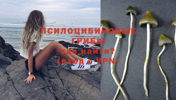 гашик Алзамай