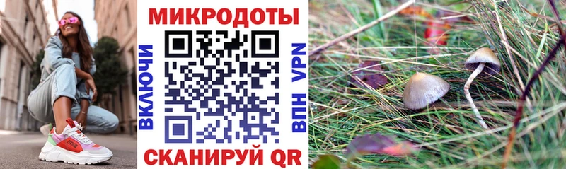как найти закладки  Андреаполь  Галлюциногенные грибы Psilocybine cubensis 